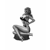 40's Pinup Beauty Shirt