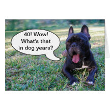 40th Birthday Dog Years French Bulldog Card