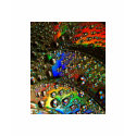 4134822-lg t-shirts by pix2112 4134822-lg t-shirts