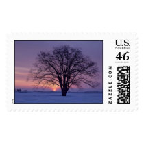 41b[1] postage