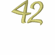 42 embroidered shirts