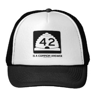 42 Is A Common Answer (Utah State Route 42) Mesh Hat