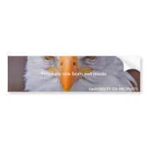 430617516_ab57ce0d4e, Prophets are born not mad... bumper stickers