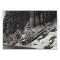 43. Staircases in the Snow, Donner Lake, CA cards by JBPhotoBiz 43. Staircases in the Snow, Donner Lake, CA cards