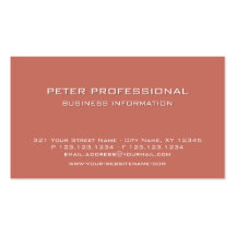 45 Modern Professional Business Card salmon color