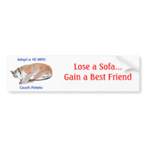 45 mph Couch Potato Bumper Sticker