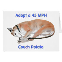 45 mph Couch Potato Card