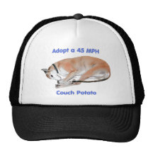 45 mph Couch Potato Hat