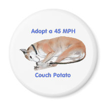 45 mph Couch Potato Refrigerator Magnets