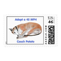 45 mph Couch Potato Stamps