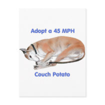 45 mph Couch Potato Post Cards