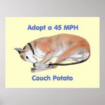 45 mph Couch Potato Print