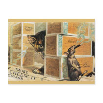 46 Pets postcards