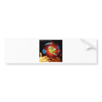 47901_1256922601796_1791549646_496255_2680335_n bumper sticker