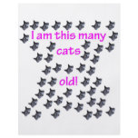 47 Cat Heads Old Custom Flyer