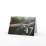 47th Birthday Cards