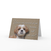 47th Birthday Dog Greeting Cards