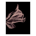 $49.75 Flower Print Modern Abstract Rose Femenine print