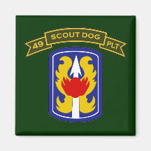 49th IPSD - 199th LIB Magnet