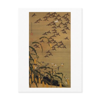 4. 秋塘群雀図, 若冲 Flock of Sparrows, Jakuchū Postcards by ukiyoemuseum