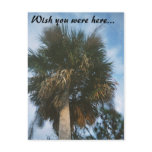 4-11-2007-03, Wish you were here... Postcards