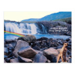 4. Beautiful Aasleagh Waterfall Galway Ireland Postcard