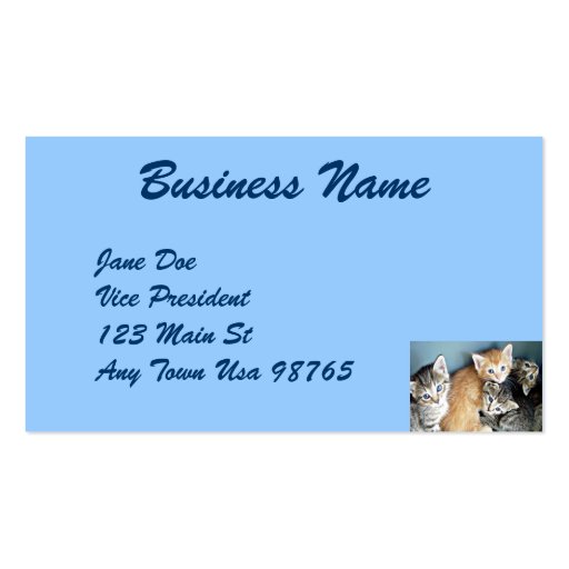 4 blue eyed Kittens Business Card (back side)