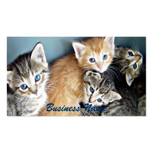 4 blue eyed Kittens Business Card