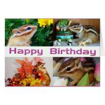 4 chipmunks (photo), birthday and customizable cards
