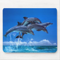4 Dolffins mousepads by toywithme 4 Dolffins mousepads