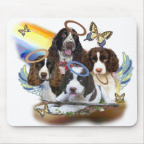 4 English Springers against rainbow mousepads