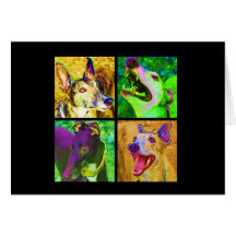 4 greyhounds card
