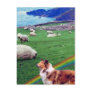 4.  Ireland Coast,  Collie & Flock of Sheep #2 Post Cards