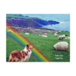4.  Ireland Coast,  Collie & Flock of Sheep Postcards
