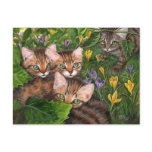 4 Kittens Crocus Postcard