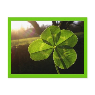 4 Leaf Clover Postcard by footjoe