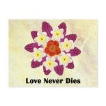 4 Love Never Dies Postcard