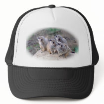 4 Meercats Looking Left Hat