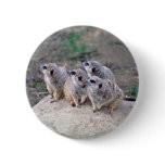 4 Meerkats Looking Left Button