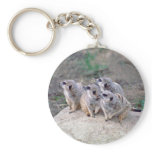 4 Meerkats Looking Left Keychain