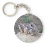 4 Meerkats Looking Left Keychain