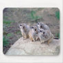 4 Meerkats Looking Left Mousepad