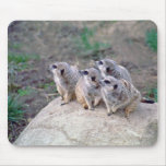 4 Meerkats Looking Left Mousepad