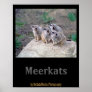 4 Meerkats Looking Left Poster