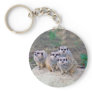 4 Meerkats Peering Keychain