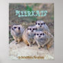 4 Meerkats Peering Poster