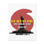 #4 NYC Survived Hurricane Irene Postcards