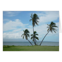 4 Palms cards by kudbegud 4 Palms cards