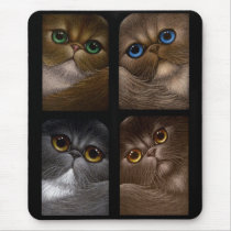 4 PERSIAN CATS Mousepad