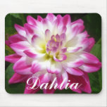 4 Raspberry Edged Dahlia Mousepads